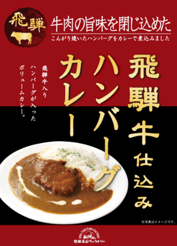 飛騨牛入りハンバーグカレー